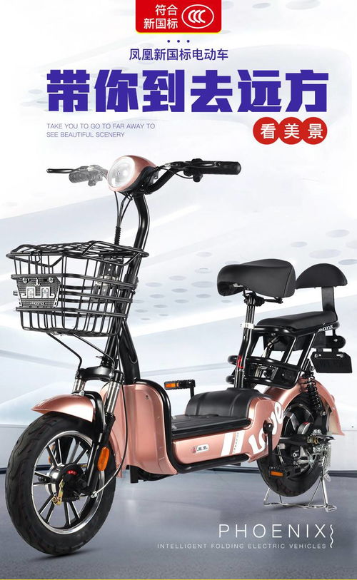 鳳凰新國標(biāo)電動自行車鉛酸電池助力車男女成人小型代駕電瓶電動車42v 12a 鴻途