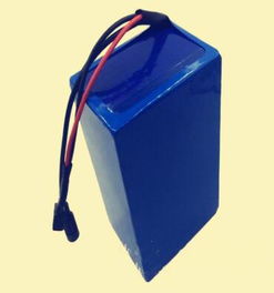 電動車鋰電池36v 12ah 兩輪電動車電瓶,電動車鋰電池36v 12ah 兩輪電動車電瓶生產(chǎn)廠家,電動車鋰電池36v 12ah 兩輪電動車電瓶價(jià)格