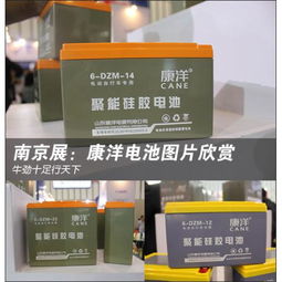 儲能電池 電動助力車蓄電池的市場分析與應用前景