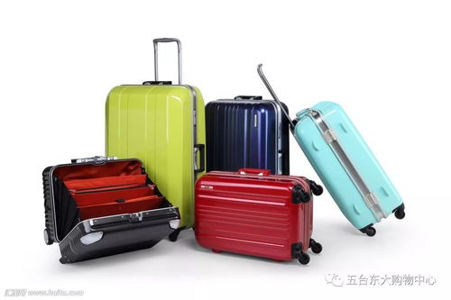 升學季箱約美麗包，啟航夢想新篇章